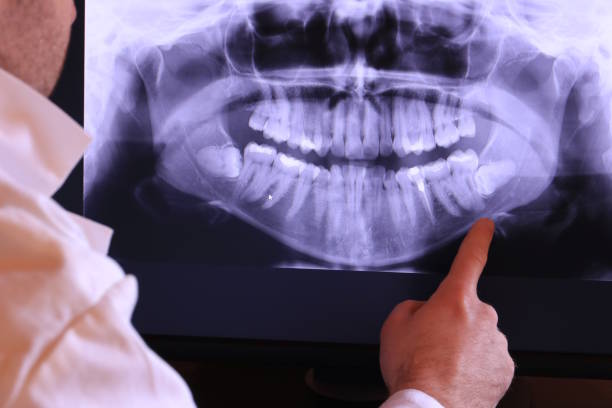 Best Emergency X-Rays and Diagnostics in Wagener, SC